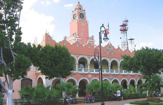 Tranquil Tropical Oasis in the Historic Center - Foto 17