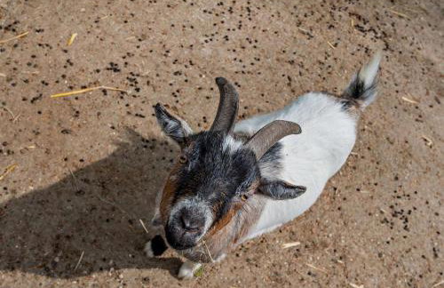 2 Bed in Stoke-on-trent oc-94790 - Foto 22