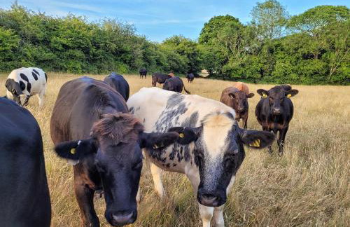 Lakeview Lodge- Uk40692 - Foto 27