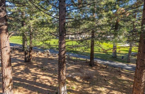 Solstice 6 - Photo 26