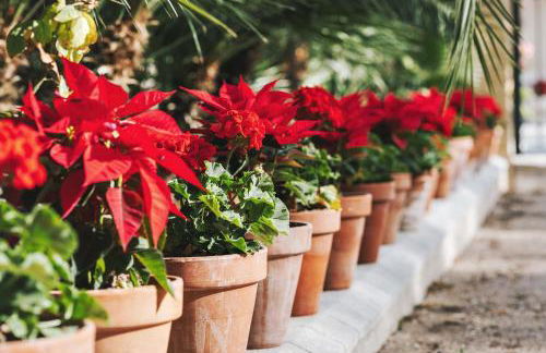 Villa en Lorca Piscina Vistas Terraza y Barbacoa-Venta Ruizo - Foto 29