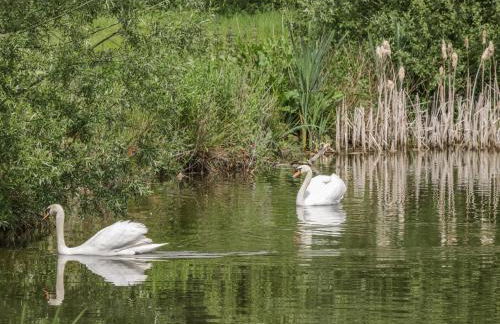 Willow Lodge - Foto 38