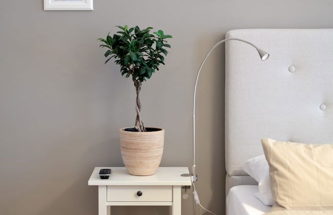 Stadtbleibe Leipzig - Photo 26