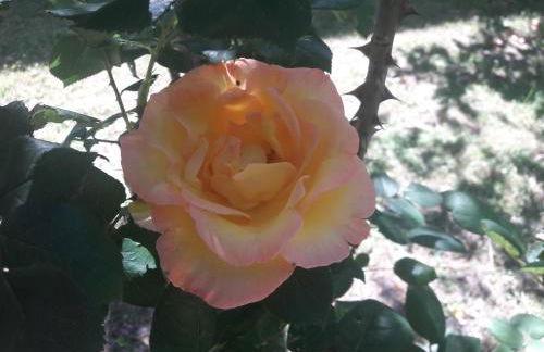 A fine 2 bedroom stone house in Emila - Photo 33