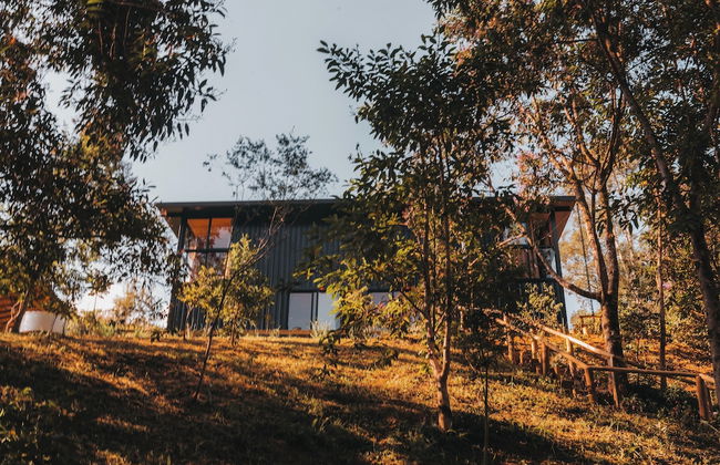 Into the Wild - Foto 1