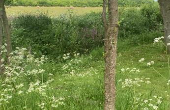 Beautiful 3 bedroom house, next to ancient wood near Holt and North Norfolk coast - Foto 18