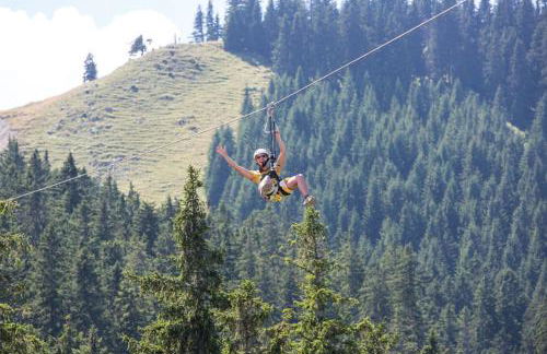 Alpenrose Appartements - Foto 12