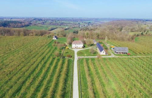 Bienvenue chez vous - Foto 11