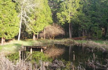 Blissful Solitude Cottage - Foto 57