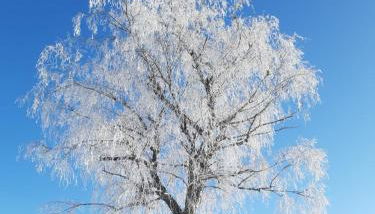 Gîte Ciel - 1-8 pers, au calme, à 20 mins du Puy-de-Dôme, Vulcania et le volcan de Lemptégy - Foto 3