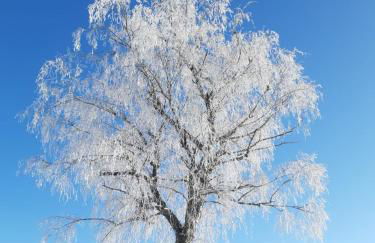 Gîte Terre - 1-4 pers, à 20 mins de Vulcania et du Puy-de-Dôme, 35 mins du Sancy - Foto 27