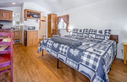 The Columbine Cabin #9 at Blue Spruce RV Park & Cabins - Foto 6