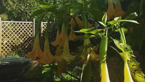 Mach mal Pause bei Geni & Bernd - Foto 2