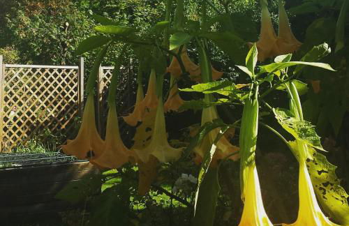 Mach mal Pause bei Geni & Bernd - Foto 2