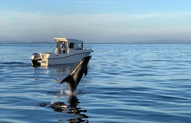 The Stables - Stokeinteignhead - Foto 5