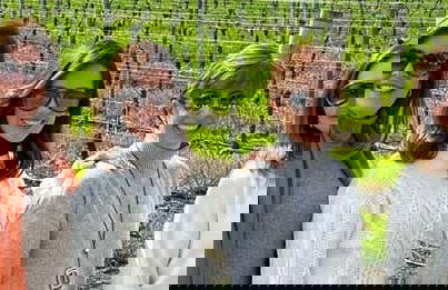 Tour privado del vino por Colonia del Sacramento - Foto 1