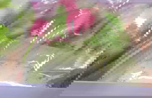 Kanalan Homestay - Photo 48