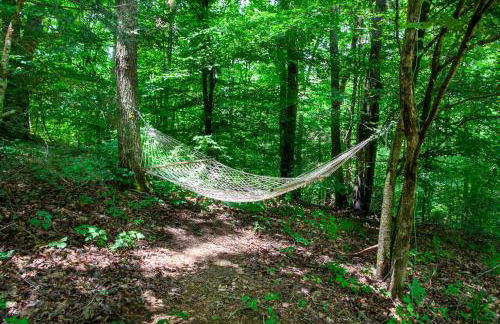 Quietside Cabin Grill Fire Pit Fireplace - Foto 59