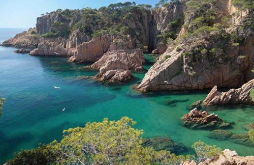 Nuevo Luminoso Apartamento Catalina a 80 metros de la playa para 4 personas - Foto 7