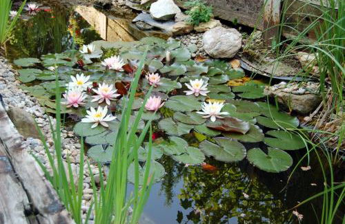 Ferienwohnung Marketa - Foto 18