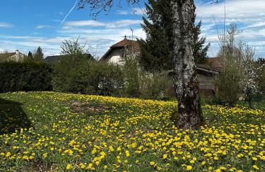 Le Petit Bois, perle de Champagnole - Foto 3