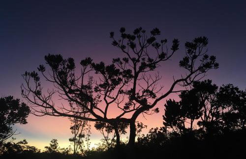 Casa Mandaçaia - Foto 37