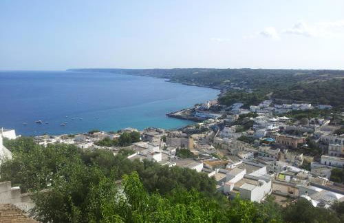 Agriturismo Vignavecchia - Foto 127