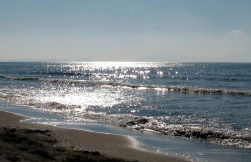 B&B leperle - Foto 20