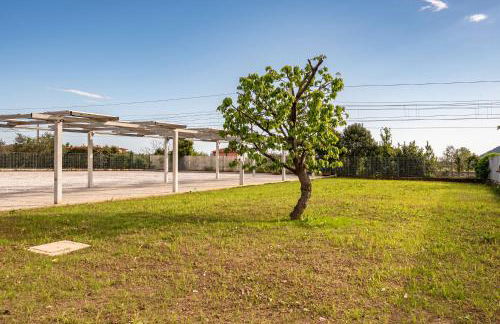 GuestHost - Mare Monti Apartments 1-5-6-8 - Foto 69