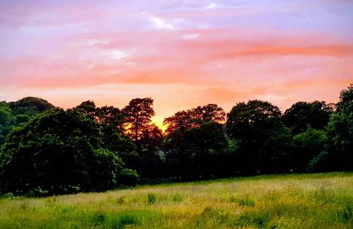 Driftwood Cottage - Foto 36