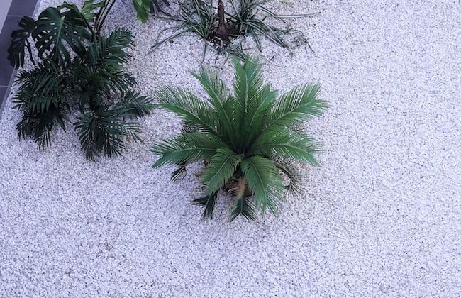 El Sueño de San Fernando - Foto 59