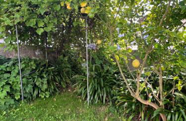 Casona Puerto de Vega - Foto 38