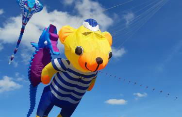 Ferien und Monteurwohnungen Aurich - Photo 9