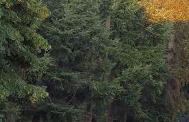 Appartamento montano illuminato dalla Via Lattea - Foto 12