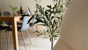 Apartment Roky - Foto 5