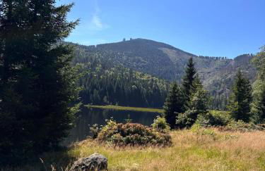 Lindners Hideaways - Gutshof Pine Retreat - Sauna - In Villa - Terrasse - Garten mit Rehgehege - Frühstück verfügbar - SKI - Arber - Osser - bis 5 Pers - Photo 32