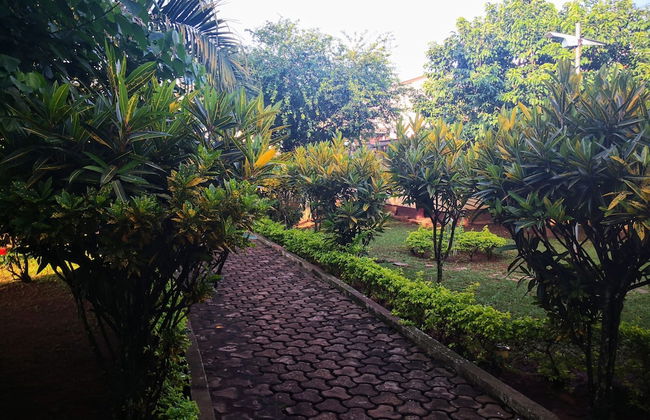 Dans un jardin au centre ville - Foto 17