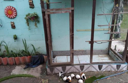 SÍTIO CONQUISTA FELIZ - Foto 41