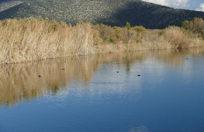 esperides holidays - Foto 53