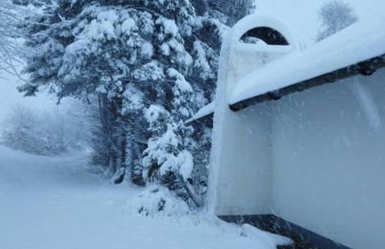 Chalet Charbonnier - Foto 1
