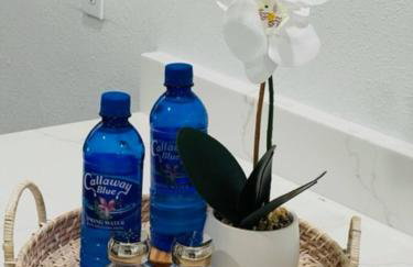 Charming 1-Bedroom Oasis in the Heart of Downtown - Foto 14