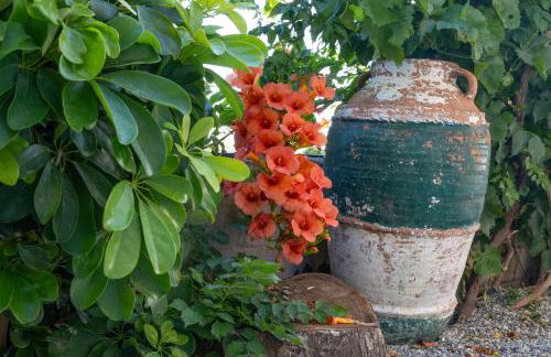 Nikargy Avra - Foto 30