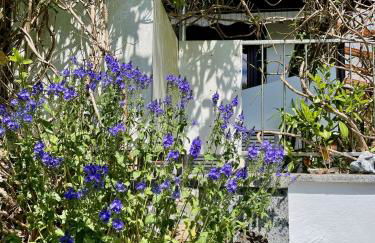 Ferienhaus Fuchseck - Foto 22