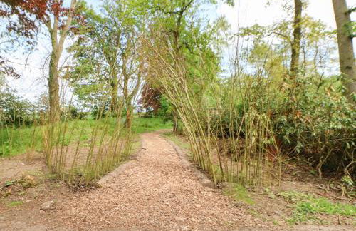 Bracken Fern - Photo 24