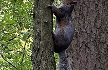 River Vista Retreat - Luxury duplex Apt - Views - Parking - Cycle storage - Spa access option - Foto 69