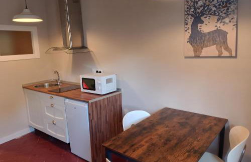 El Palacito de Arnedillo - Foto 1