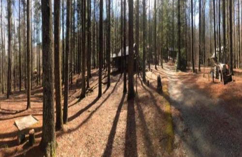 Saluda Summit Cabin at Cabin Fever - Foto 57