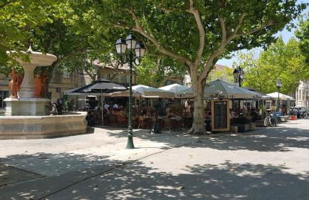 La capucinette à l’ombre du marronnier - Foto 19