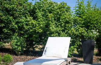 Deine Genuss-Auszeit - Foto 9