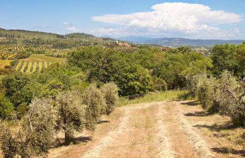 Poggio Diavolino - Suvereto - Foto 9